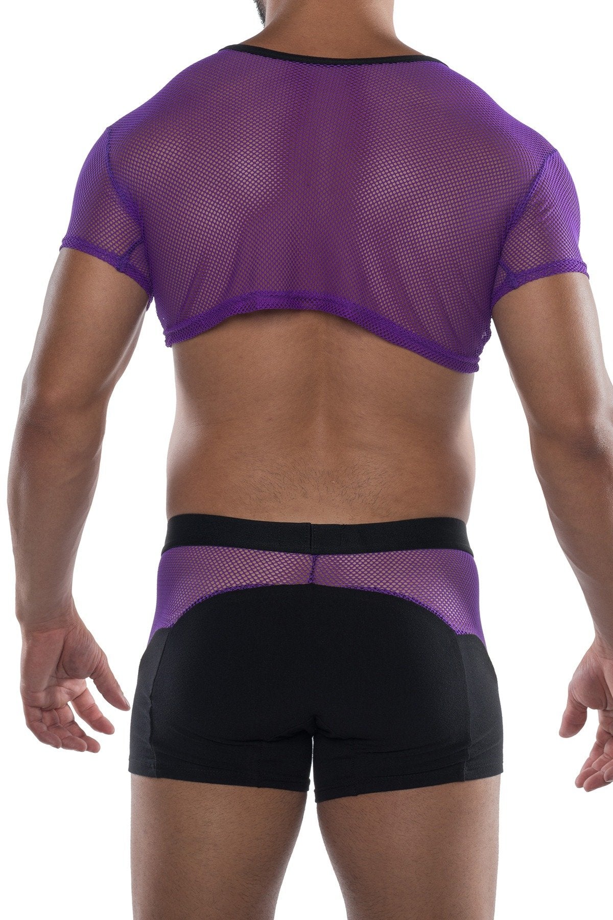 HardCore Purple XXX Mesh Crop Tee