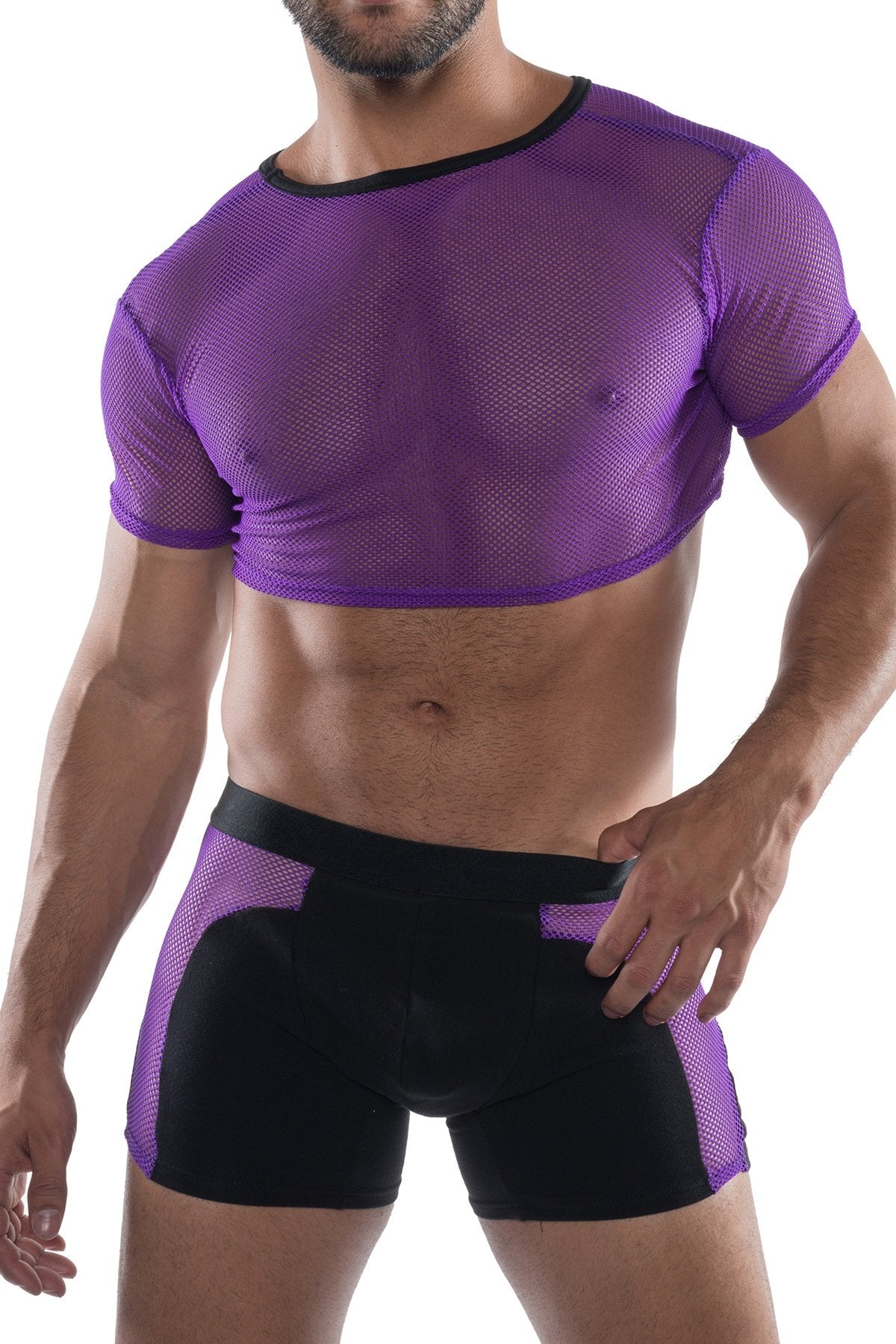 HardCore Purple XXX Mesh Crop Tee