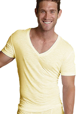 Man Zone Butter Sheer Slub V-Neck Tee