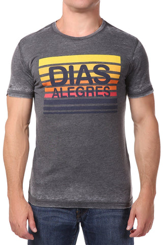 Spenglish Grey Dias Alegras Tee